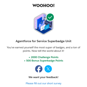 Agentforce for Service Superbadge Unit