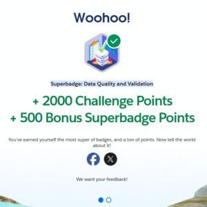 Superbadge: Data Quality and Validation